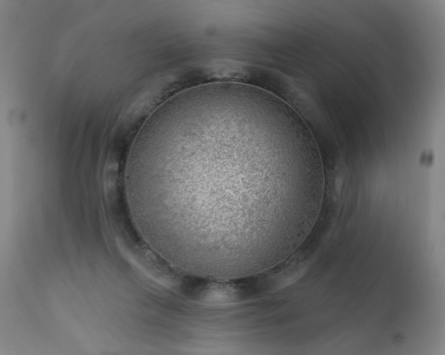 X0000111460263200907131502