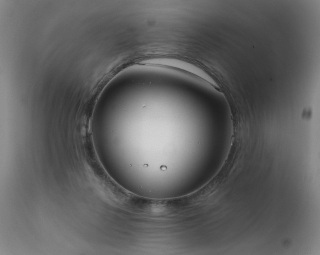 X0000111460264200907131502