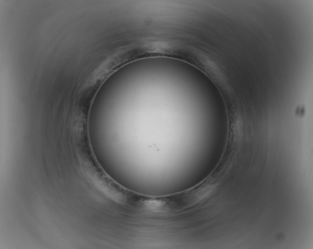 X0000111460265200907131502