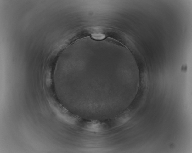 X0000111460267200907131502