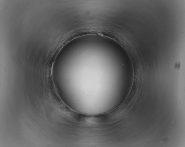 X0000111460268200907131502