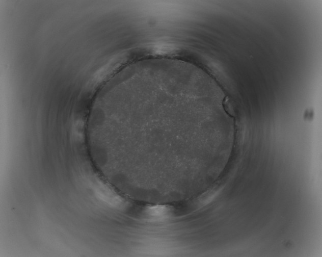 X0000111460269200907131502