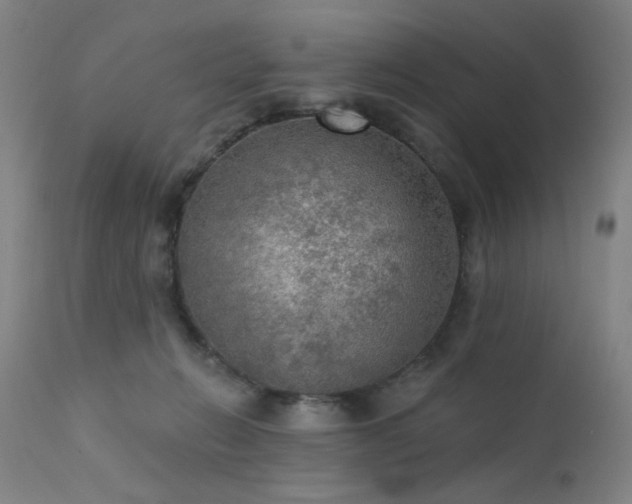 X0000111460270200907131502