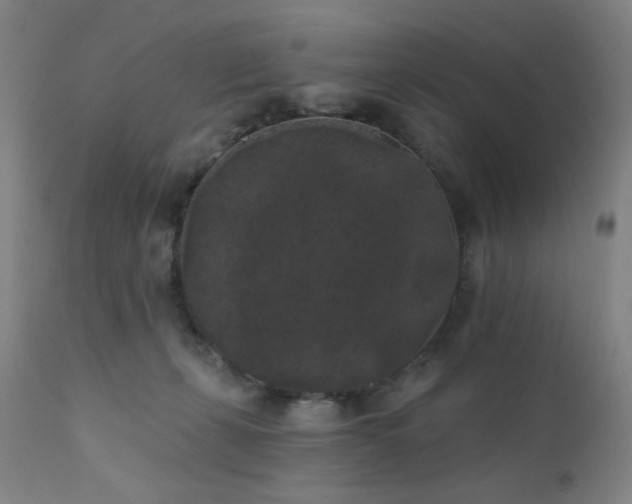 X0000111460271200907131502