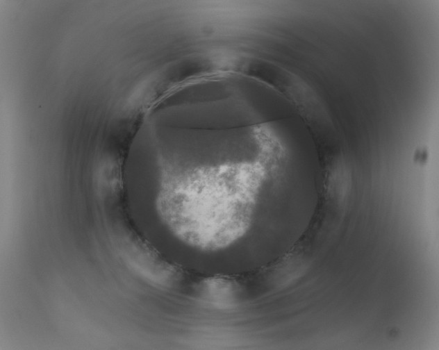 X0000111460272200907131502