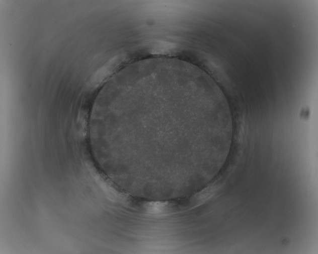 X0000111460273200907131502