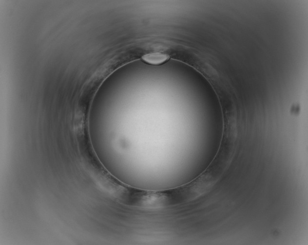 X0000111460274200907131502