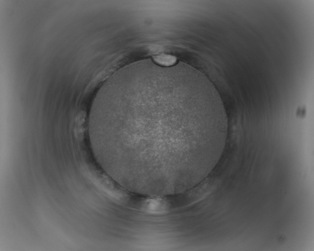 X0000111460275200907131502