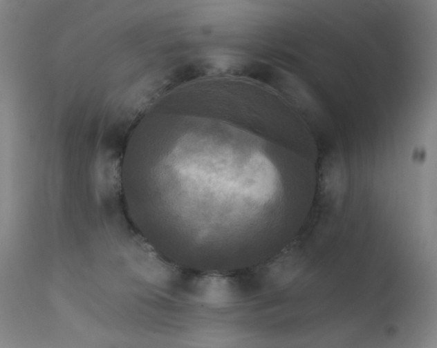 X0000111460276200907131502