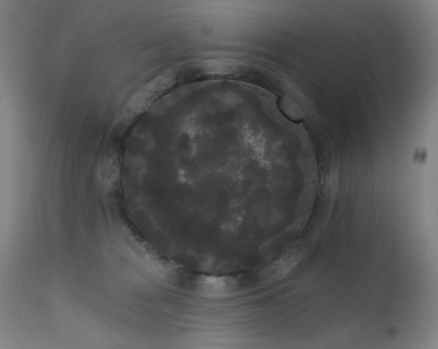 X0000111460277200907131502