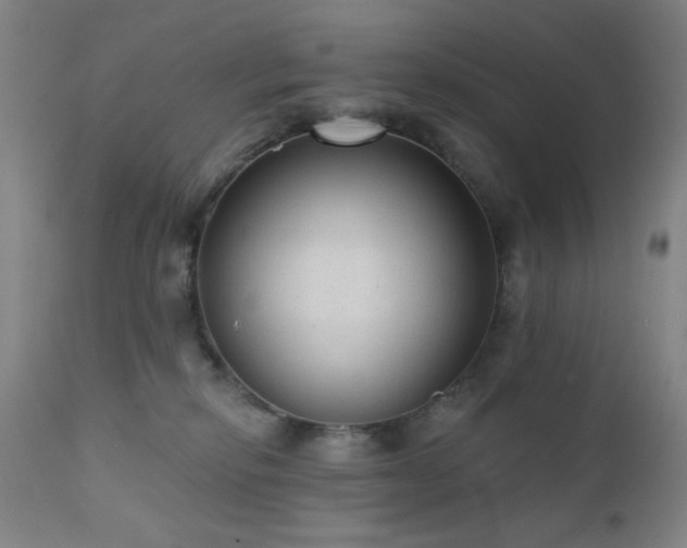X0000111460278200907131502