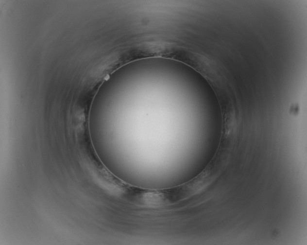 X0000111460279200907131502