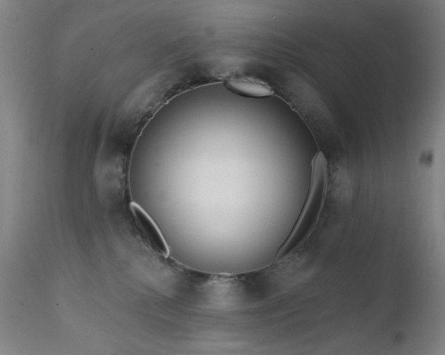 X0000111460280200907131502