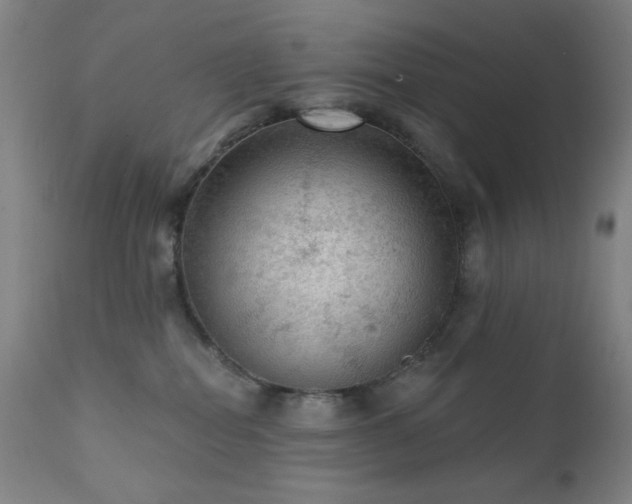 X0000111460282200907131502