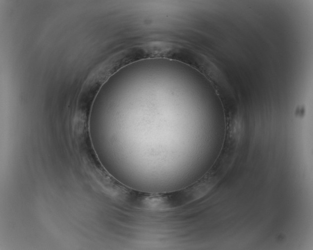X0000111460283200907131502