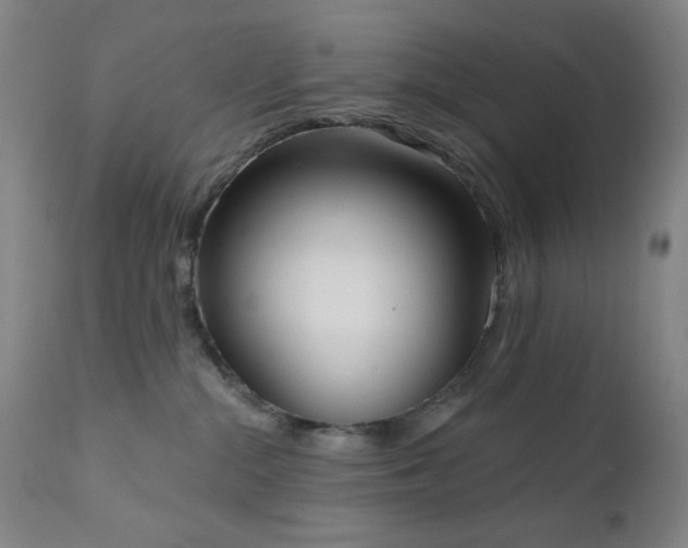 X0000111460284200907131502