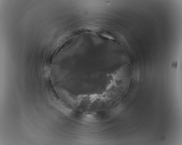 X0000111460285200907131503