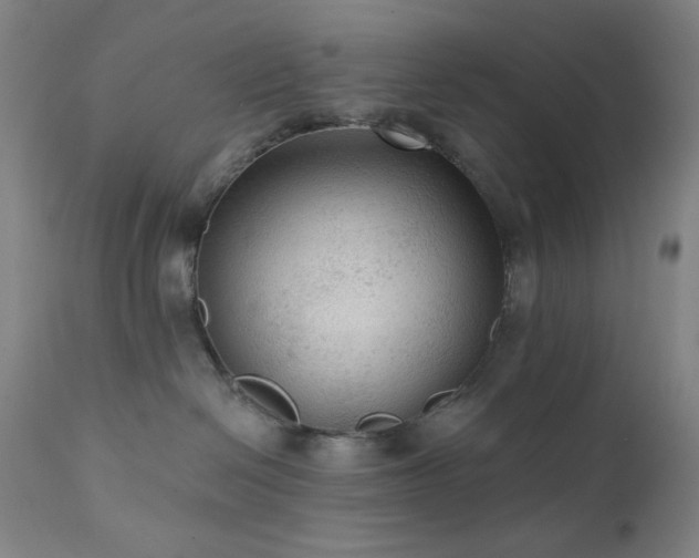 X0000111460286200907131503
