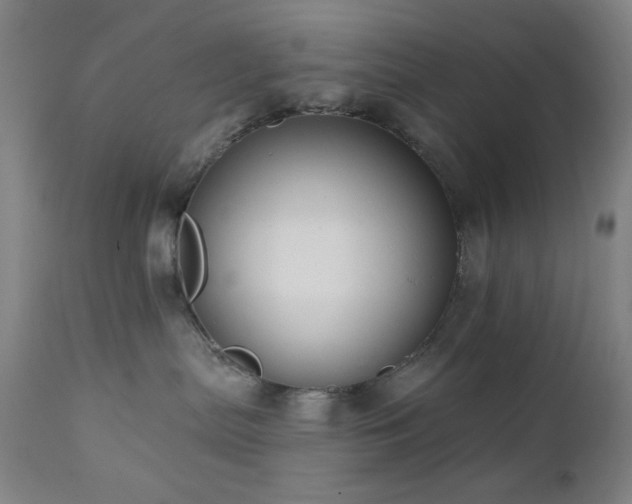 X0000111460287200907131503