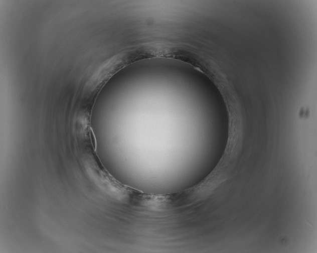X0000111460288200907131503