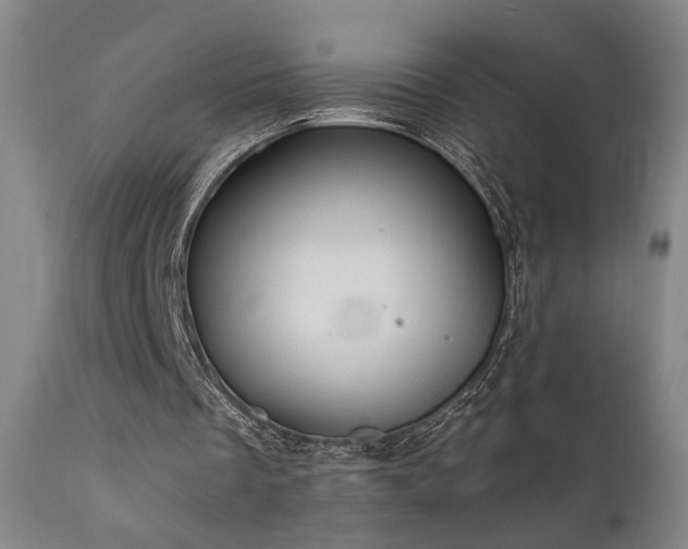 X0000111460289200907131502