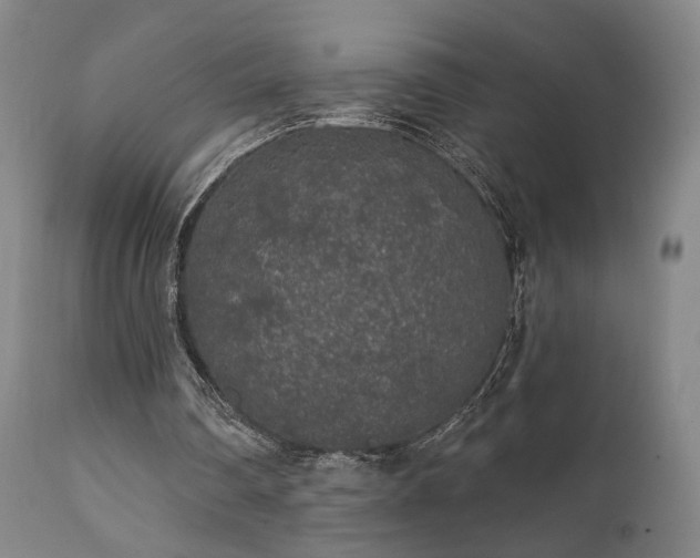 X0000111460290200907131502