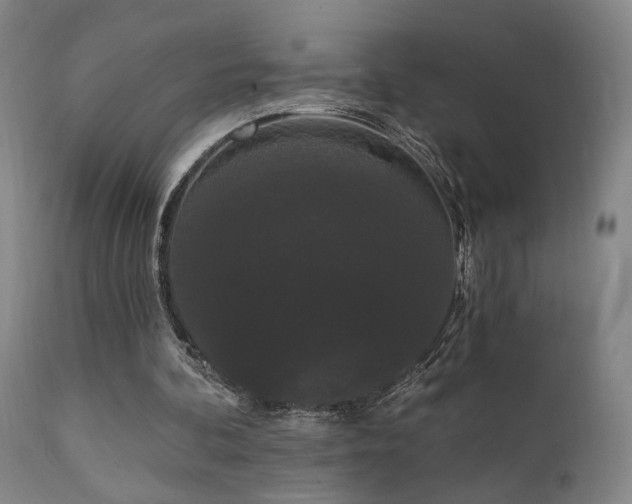 X0000111460292200907131502