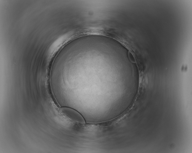 X0000111460293200907131502