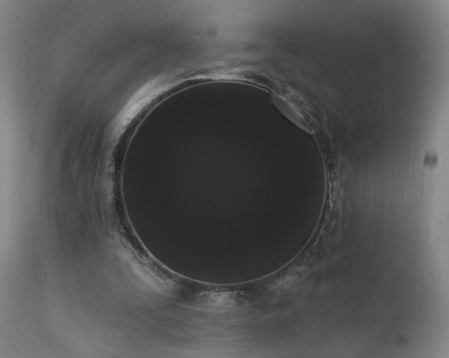 X0000111460295200907131502
