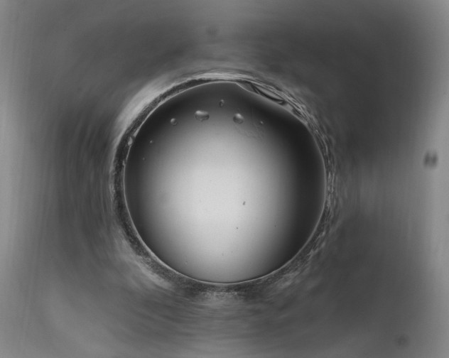 X0000111460296200907131502