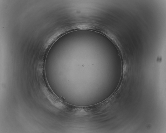 X0000111460297200907131502