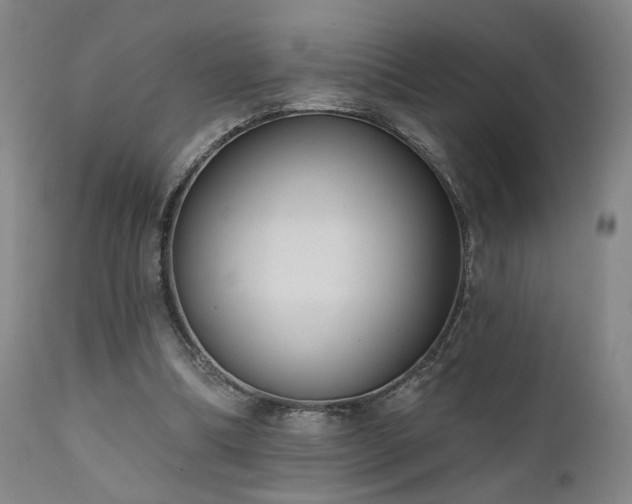 X0000111460298200907131502