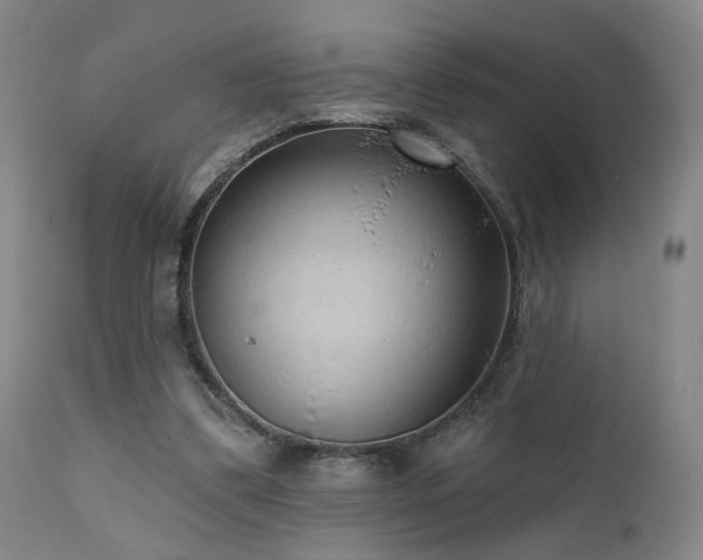 X0000111460299200907131502