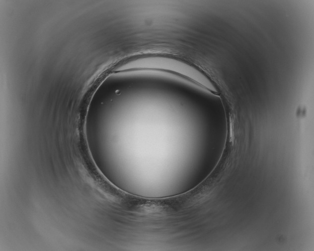 X0000111460300200907131502