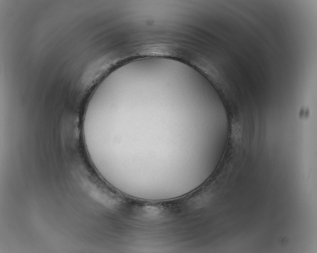 X0000111460302200907131502