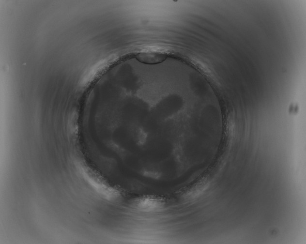 X0000111460303200907131502