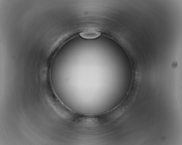 X0000111460304200907131502