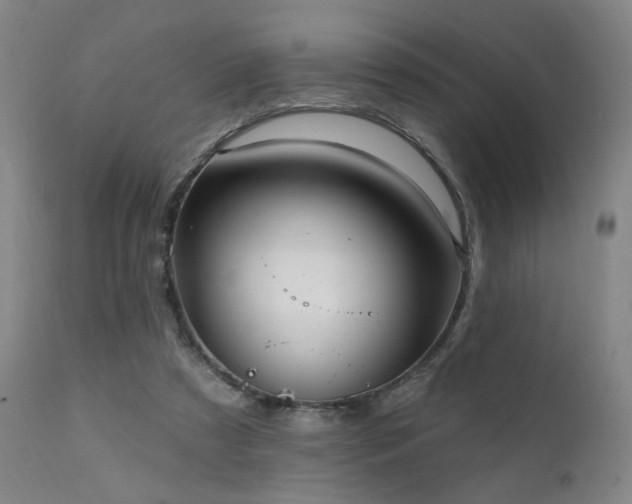 X0000111460305200907131502