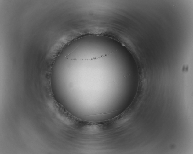 X0000111460307200907131502