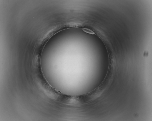 X0000111460308200907131502