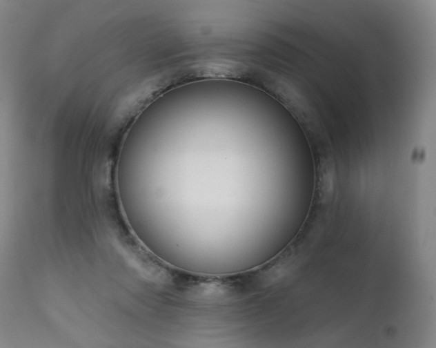 X0000111460310200907131502