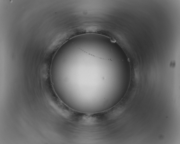 X0000111460311200907131502