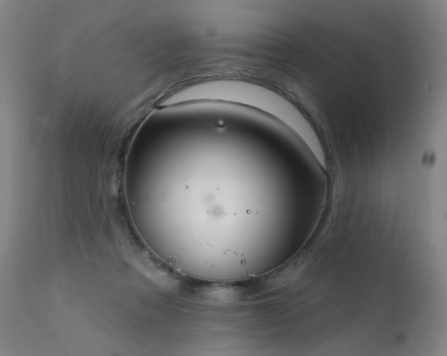 X0000111460313200907131502
