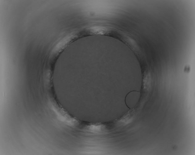 X0000111460314200907131502