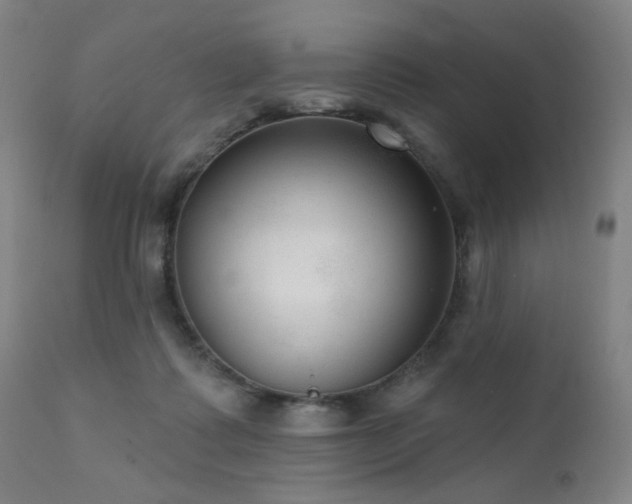 X0000111460315200907131502