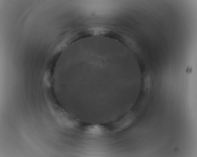 X0000111460316200907131502