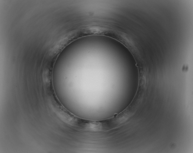 X0000111460317200907131502