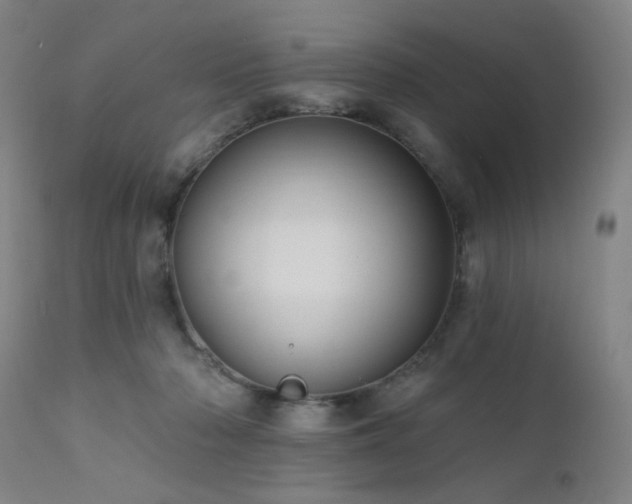 X0000111460318200907131501