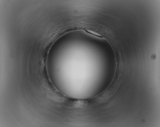 X0000111460320200907131501