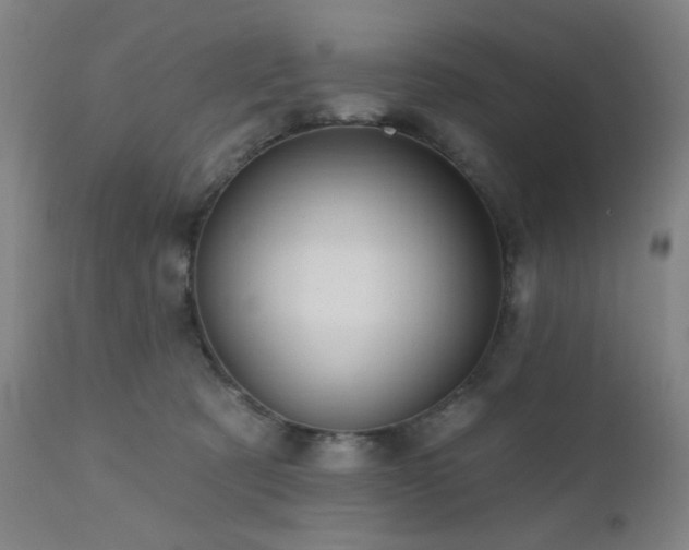 X0000111460321200907131501